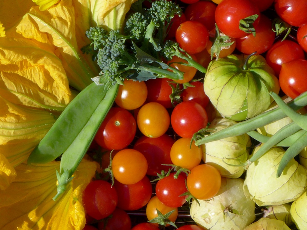 How to grow the “right” amount of garden vegetables for your&nbsp;household